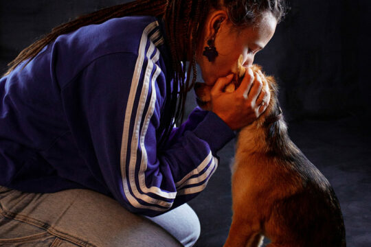 Fotografía De Mascotas En Estudio