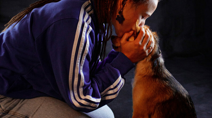 Fotografía De Mascotas En Estudio