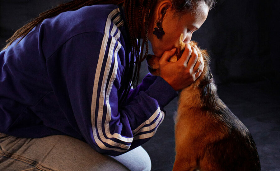 Fotografía De Mascotas En Estudio